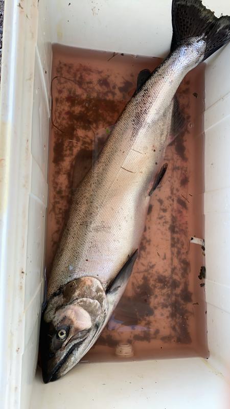 Photo - commentaire&nbsp;2.