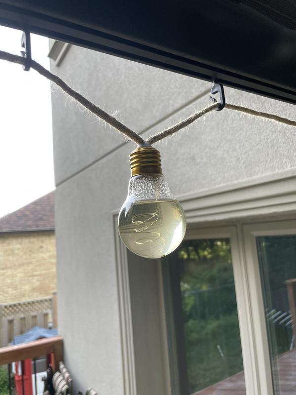 Bulbs fill up with water when it rains!!