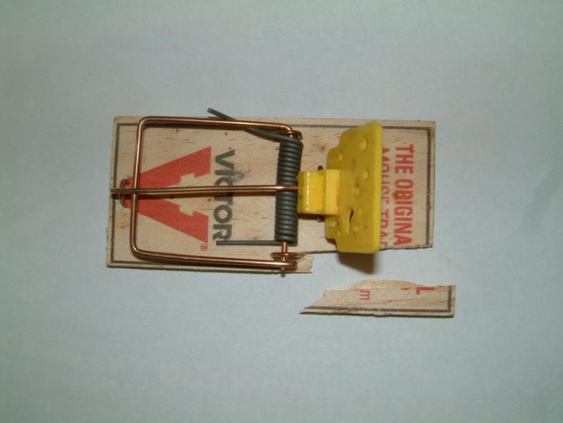 wooden platform broke off