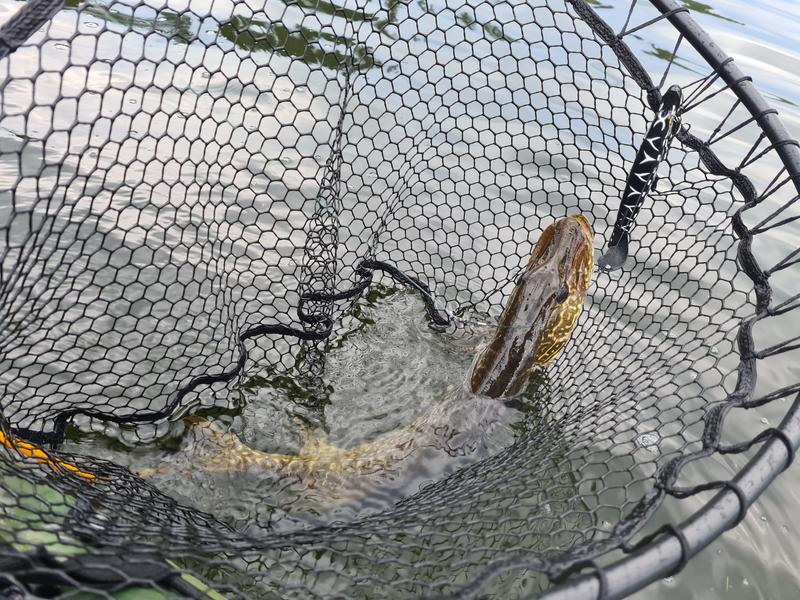 Photo - commentaire&nbsp;1.