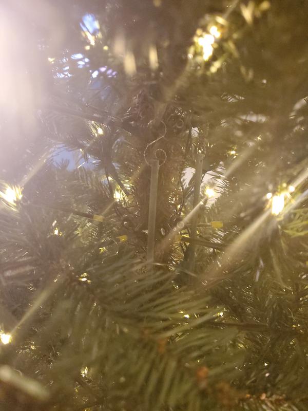 Photo - commentaire 3.