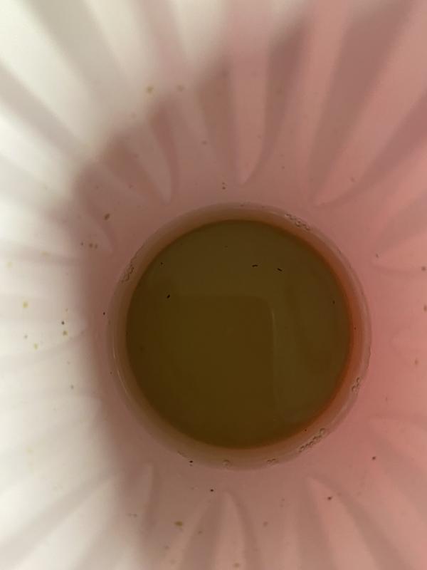 Photo - commentaire 1.