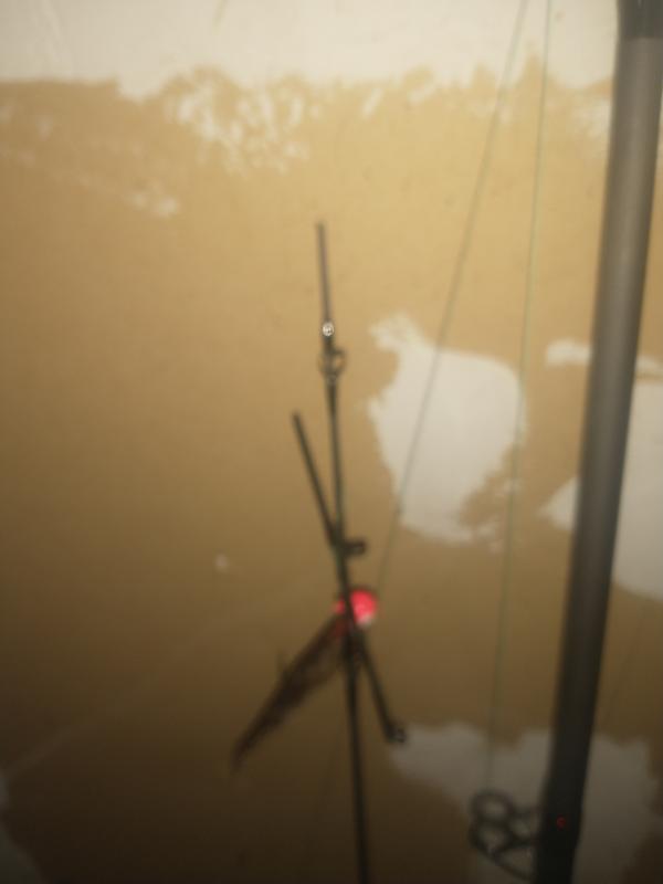 Photo - commentaire&nbsp;1.