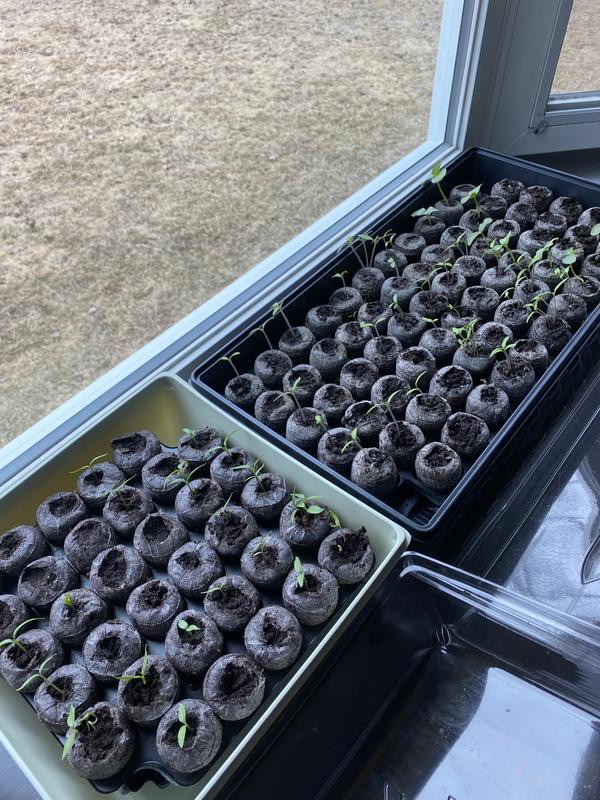 Photo - commentaire&nbsp;3.