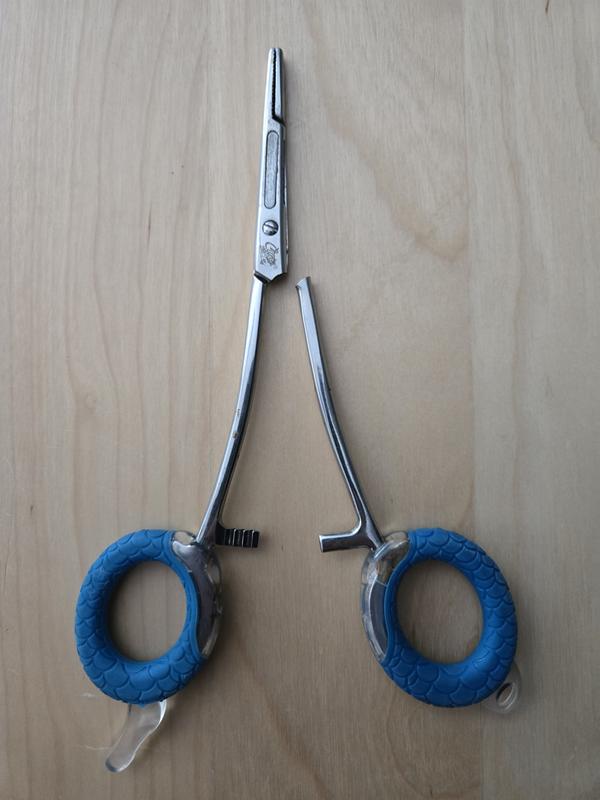 Photo - commentaire 1.