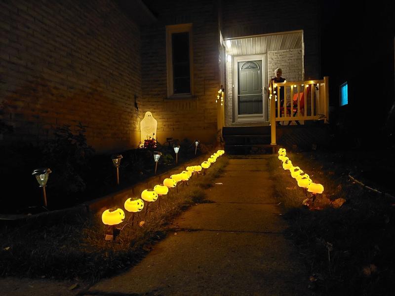 Pumpkin sidewalk.