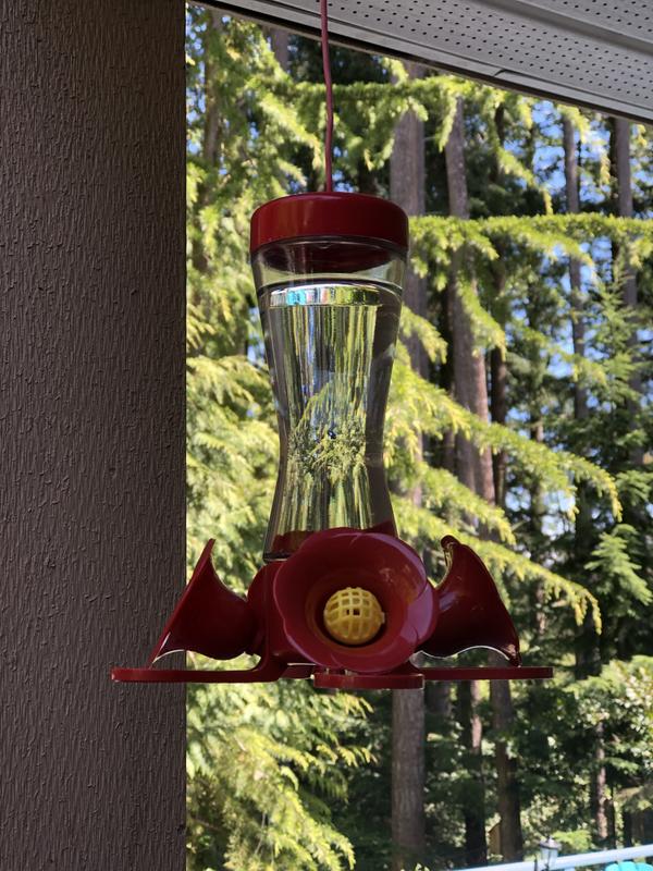 Photo - commentaire 4.