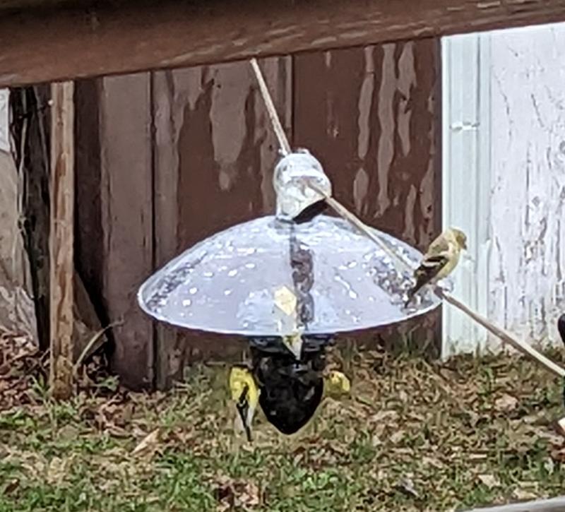 Photo - commentaire 1.