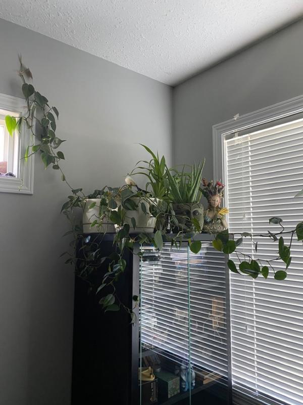 Photo - commentaire&nbsp;5.