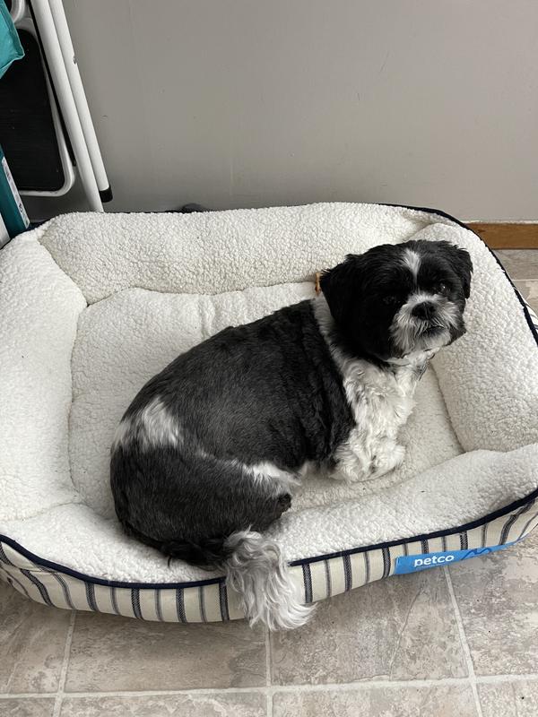 Photo - commentaire 2.