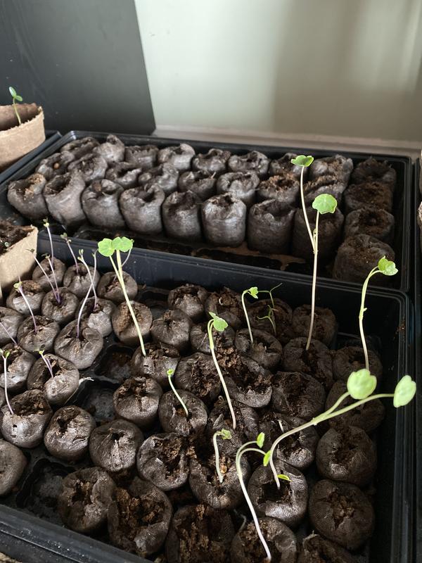 Photo - commentaire&nbsp;2.