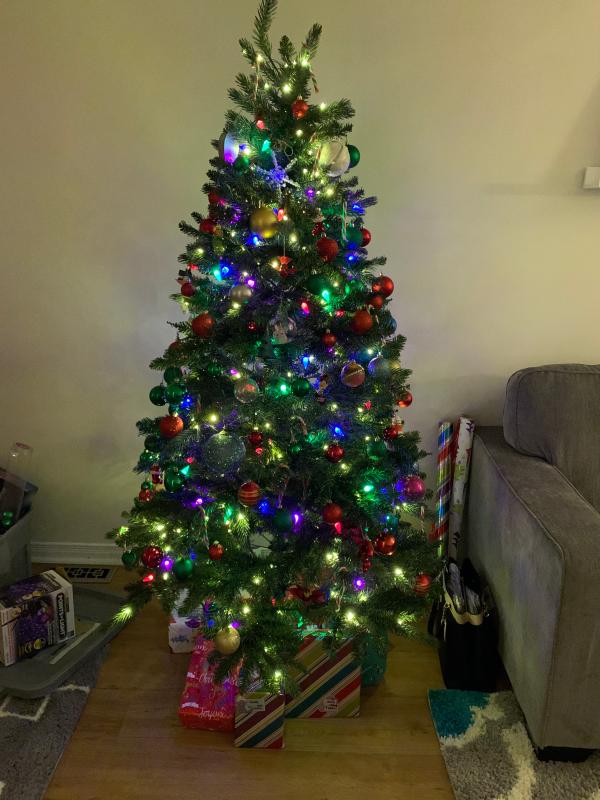 We added our own lights on top of the already strung lights