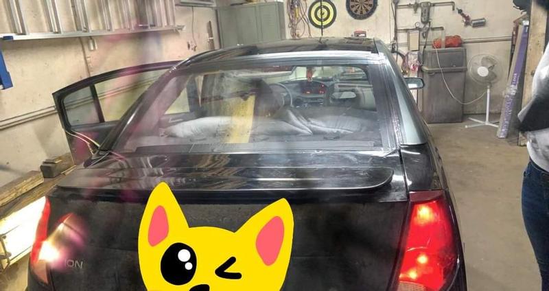 Réparation Temporaire Pare-brise Réussie