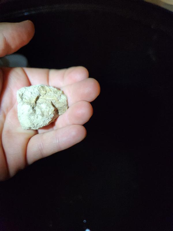 Photo - commentaire&nbsp;8.