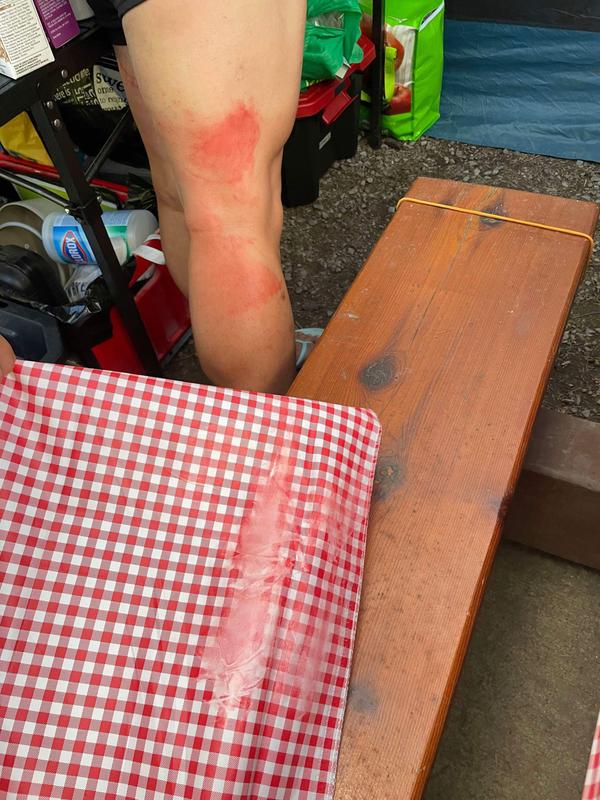 Photo - commentaire 5.