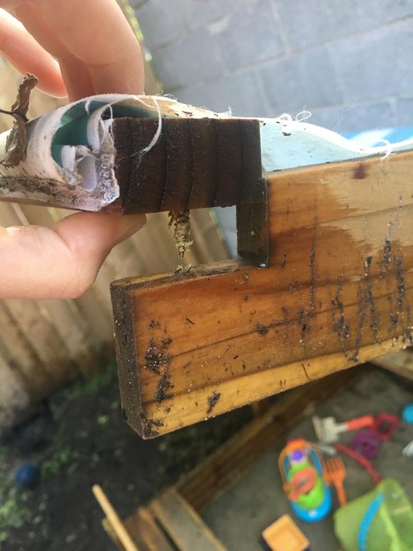 Photo - commentaire 3.