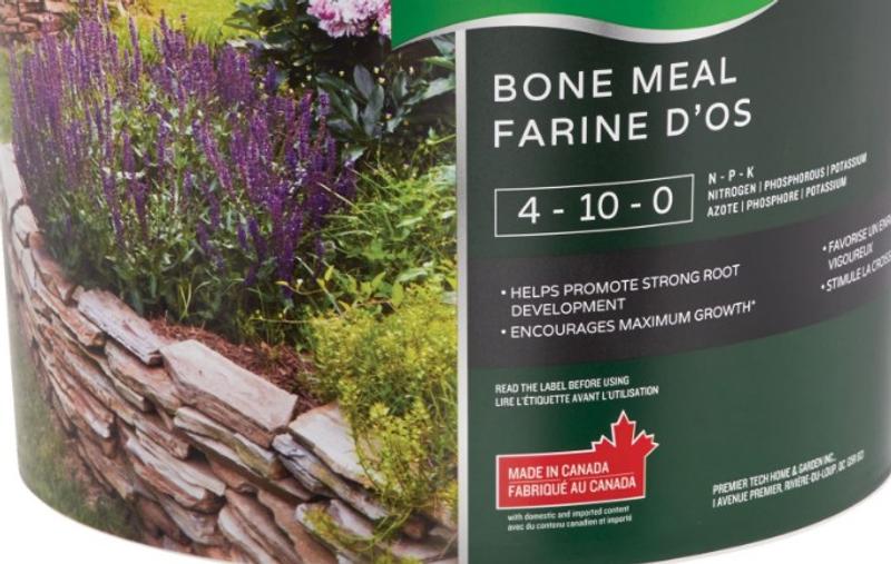 Photo - commentaire&nbsp;2.