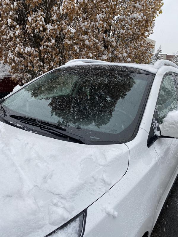 Photo - commentaire&nbsp;5.