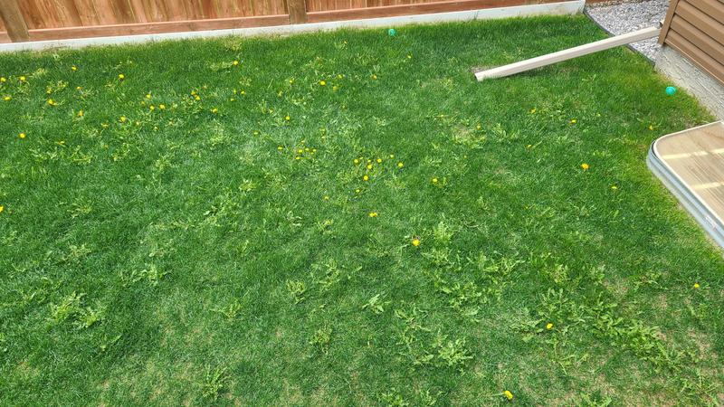 Photo - commentaire 3.