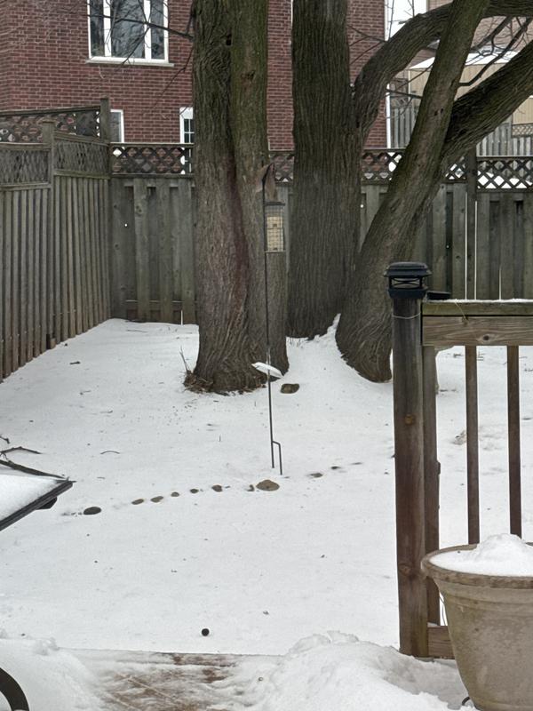 No one seems to like it