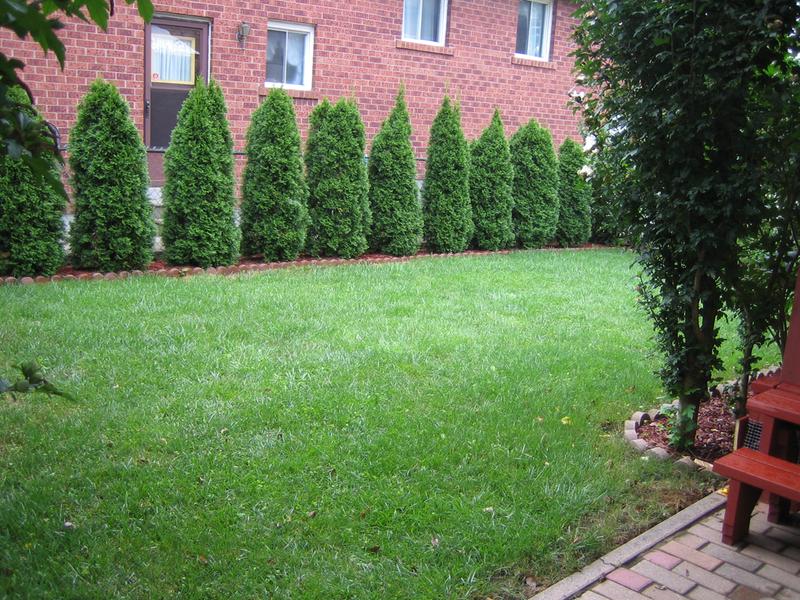 Do not have a close up pick of the specific areas, sorry.