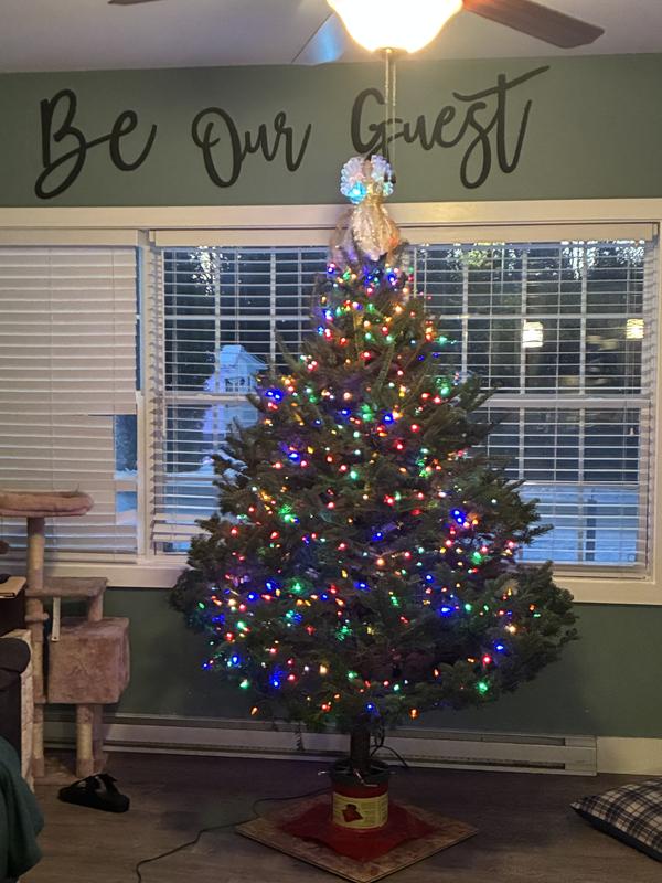 Photo - commentaire&nbsp;3.