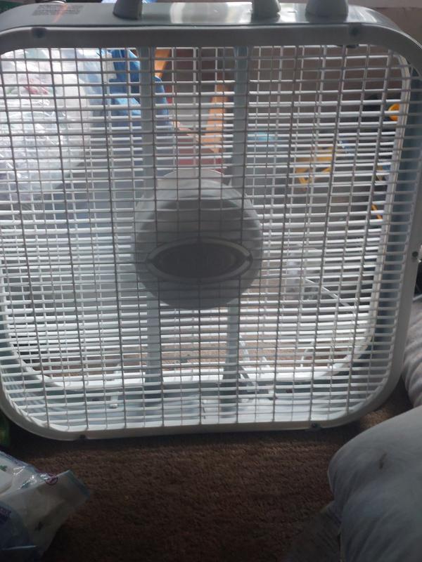 Photo - commentaire 4.