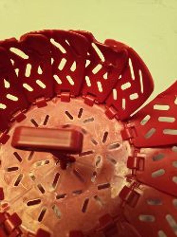 Photo - commentaire&nbsp;1.