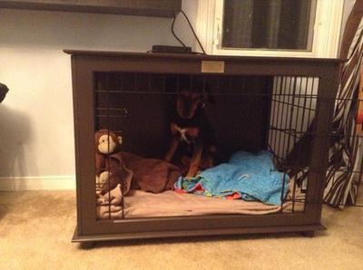 Large crate; puppy is 25lbs