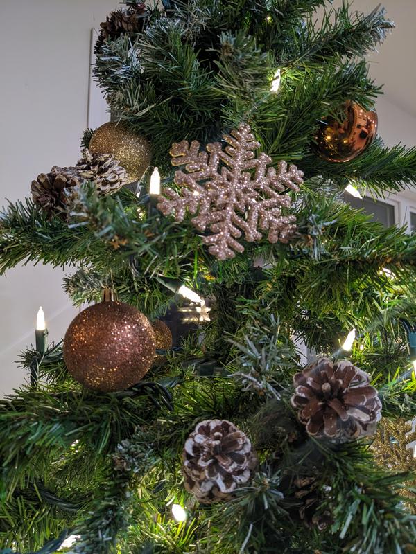 One of the snowflakes