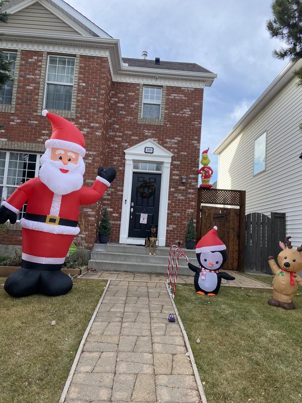 Photo - commentaire 6