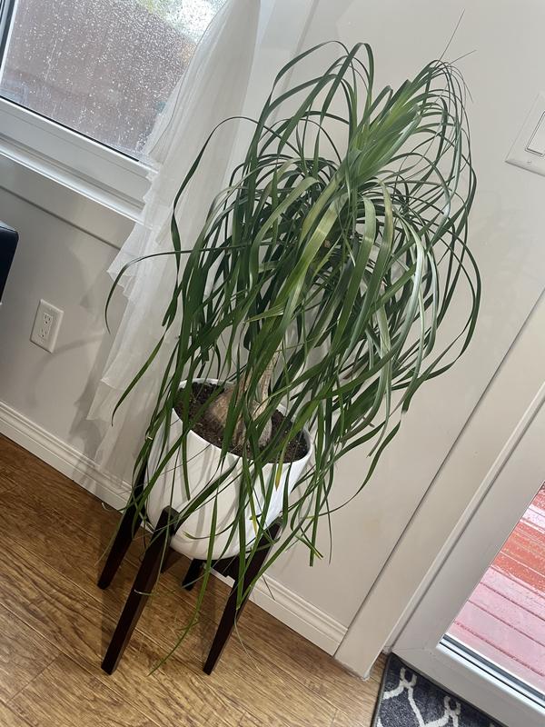 Photo - commentaire&nbsp;4.