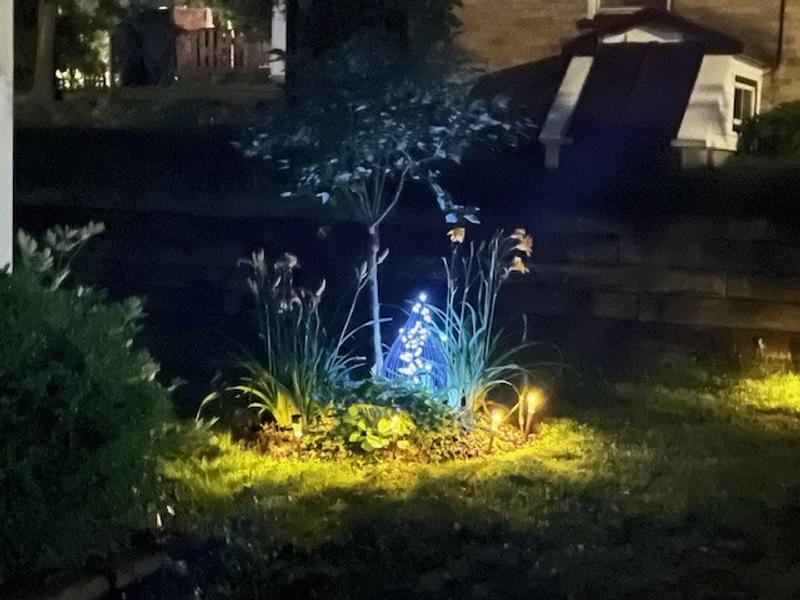 Lights are yellow, not white