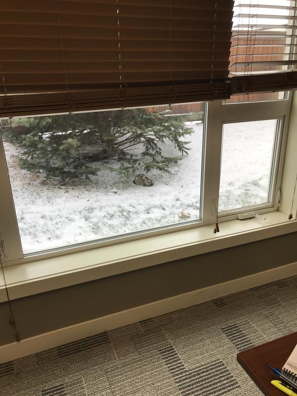 Used for automotive and furniture painting