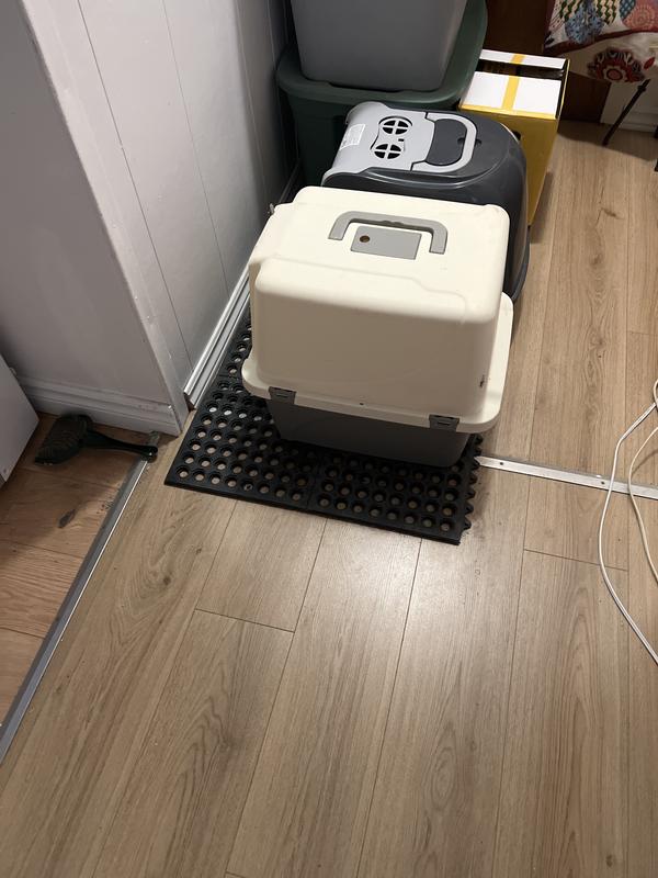 Photo - commentaire 1.