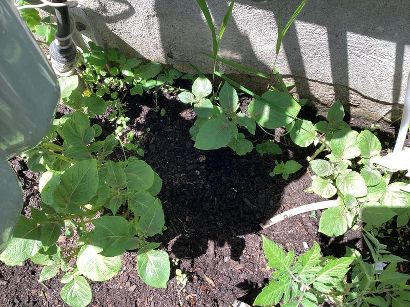 Photo - commentaire 2.