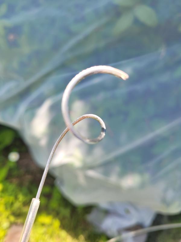 Photo - commentaire&nbsp;1.