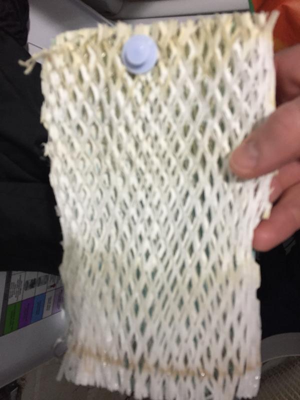 Photo - commentaire&nbsp;1.