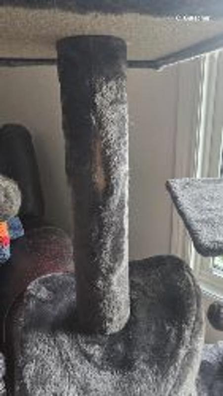 Photo - commentaire 1.