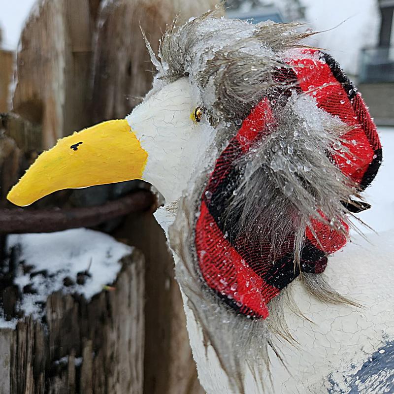 Photo - commentaire&nbsp;1.