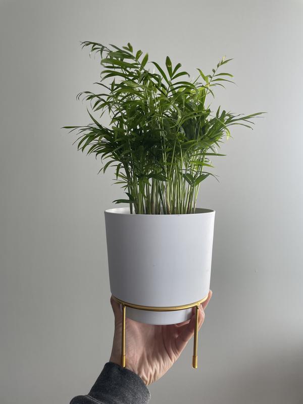 Photo - commentaire&nbsp;7.