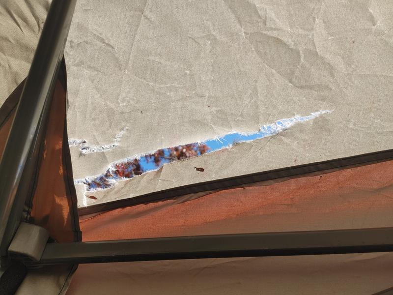 Photo - commentaire&nbsp;1.