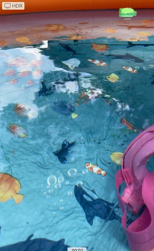 We love this pool so much highly recommend. We swam in it all summer. Perfect height to sit in and swim in.