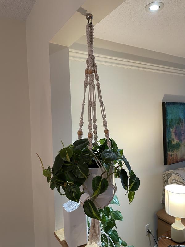 Plante suspendue vissée dans gypse et bois.