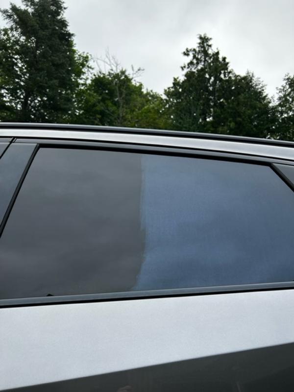 Rear door glass