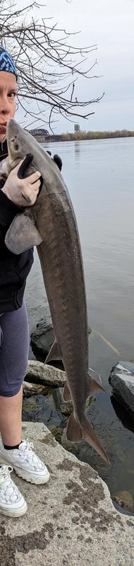 Photo - commentaire&nbsp;1.