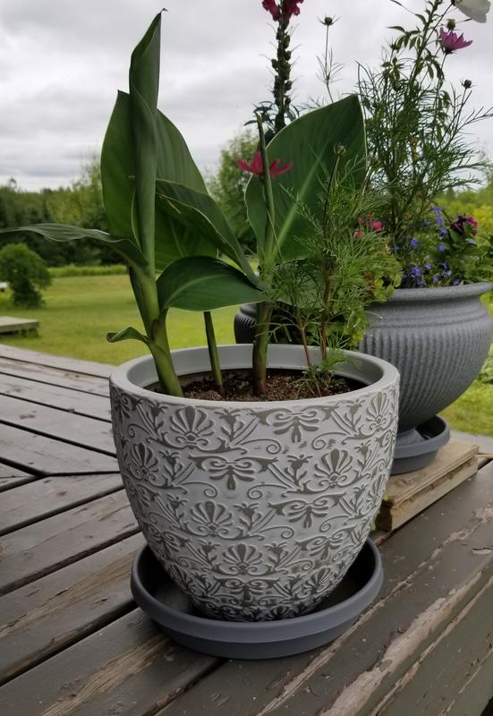 Photo - commentaire 8.