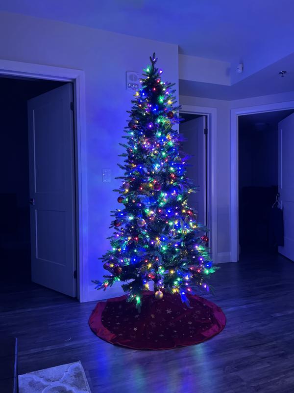 Photo - commentaire 2.