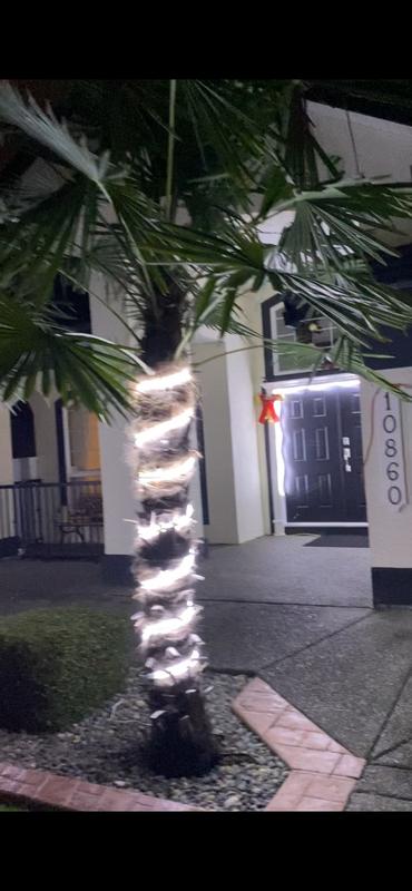 Photo - commentaire&nbsp;7.