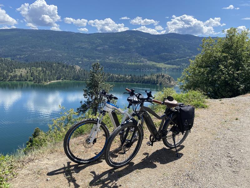 bike bag canadian tire